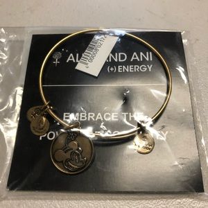 RETIRED Disney Alex and Ani